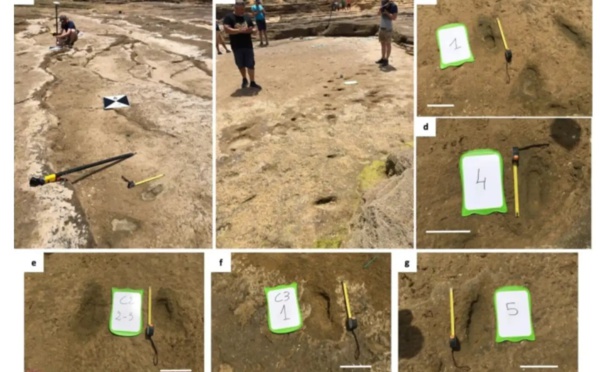 Traces du passé: Les plus anciennes empreintes humaines d'Afrique du Nord révèlent l'histoire à Larache