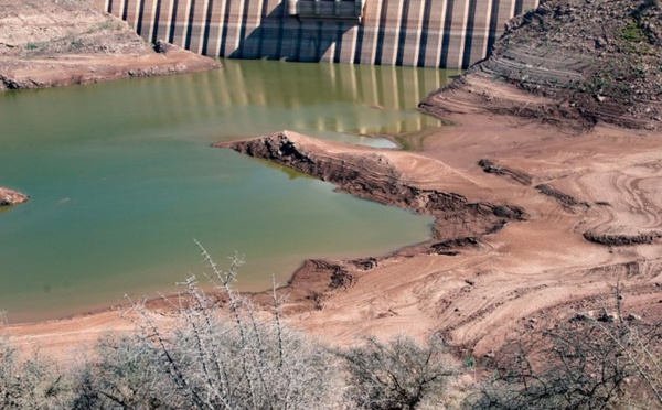 Campagne agricole 2023/2024 : des indicateurs au rouge