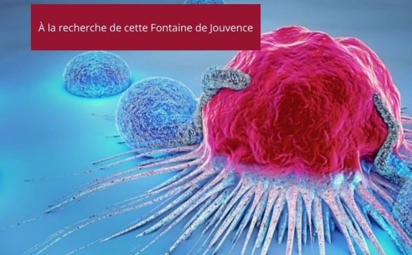 Le Vieillissement de l'Homme : Nouvelles Perspectives grâce à la Recherche sur les Cellules CAR T