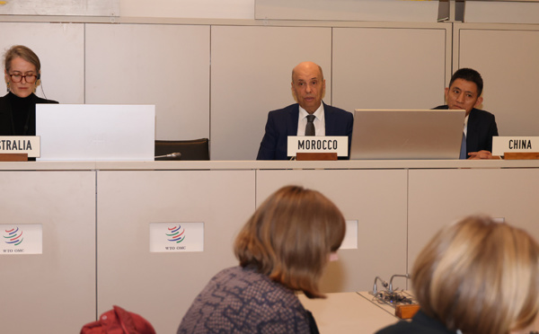 OMC : les participants au Dialogue sur la pollution plastique finalisent un texte pour une déclaration ministérielle à la CM13