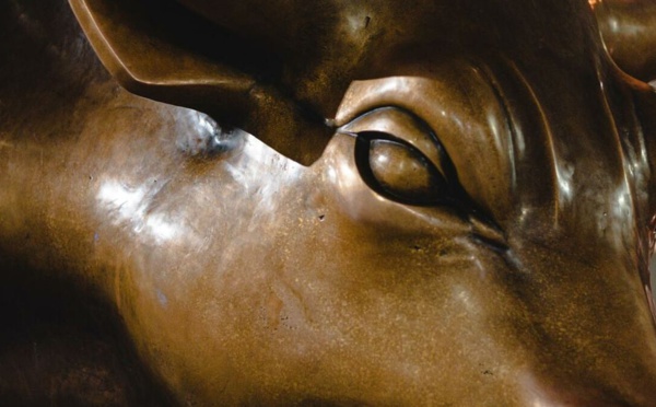 Le réveil de Phalaris