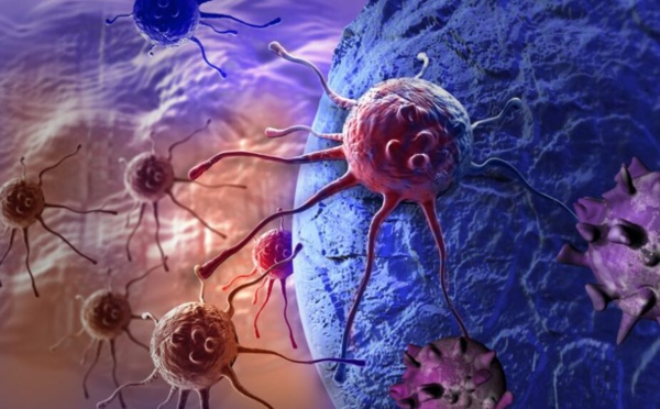 Journée mondiale contre le cancer : la recherche avance à l’Inserm