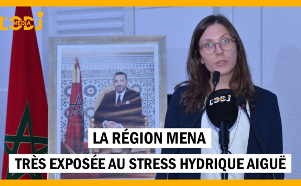 Veronika Ertl : La région Mena très exposée au stress hydrique aiguë