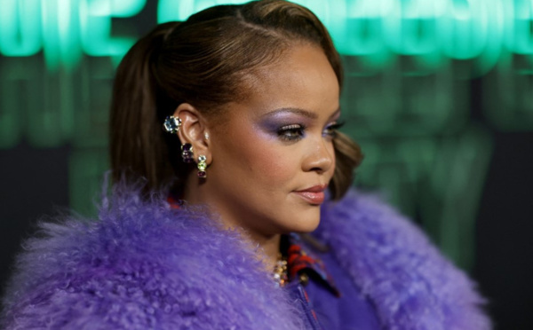 Rihanna donne un concert privé en Inde