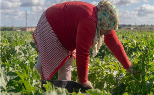 Les femmes rurales sont les plus affectées par le sexisme et les changements climatiques