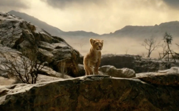 Mufasa : première image dans le prequel du "Roi Lion" en live-action