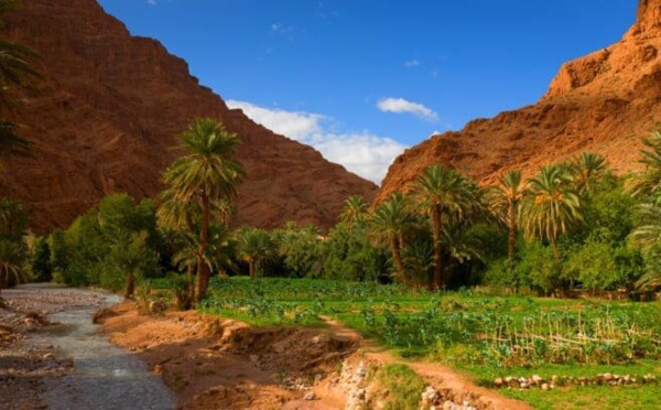 Des Oasis et des hommes