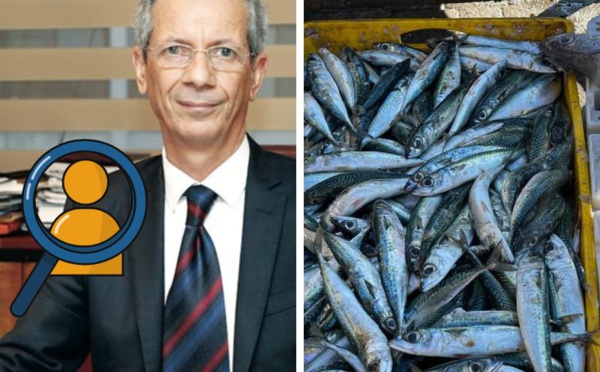 Le marché de l’approvisionnement en sardine dans le viseur du Conseil de la Concurrence