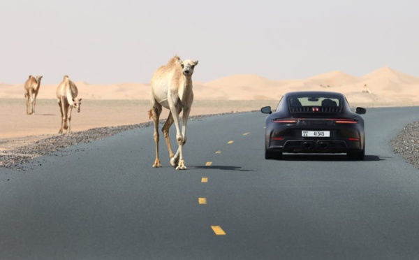 ​Porsche réinvente la légende : La 911 embrasse l'hybride !