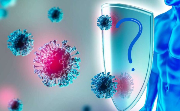 Les Novid : Les Mystérieux Immunisés Contre la Covid-19