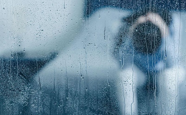 Santé mentale  : Pour  une structuration de la réhabilitation psycho sociale au Maroc