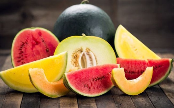 Le Maroc s'impose comme le principal exportateur de melons en Espagne malgré la crise hydrique
