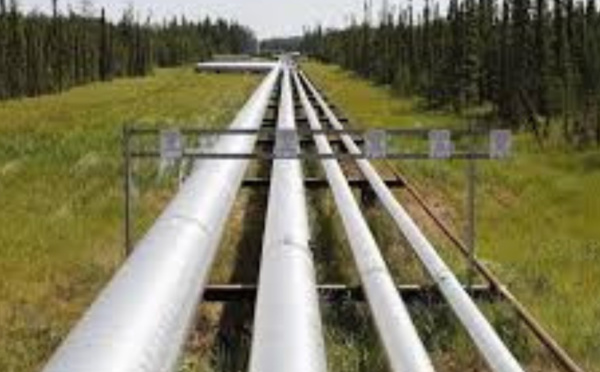 Gazoduc : Tebboune s’en prend au Maroc et tente de s’imposer