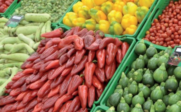 Le Maroc, champion des exportations : 698 millions d'euros de fruits et légumes vers l'Espagne