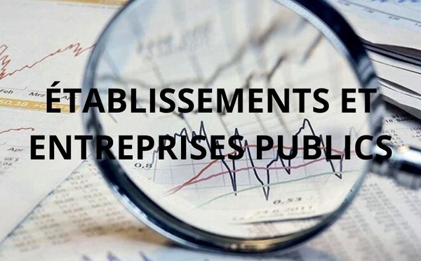 EEP Marocains : Entre Réforme et Rentabilité dans PLF2025