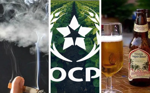 Quand les recettes fiscales liées aux fumeurs et buveurs dépassent l’apport de l’OCP