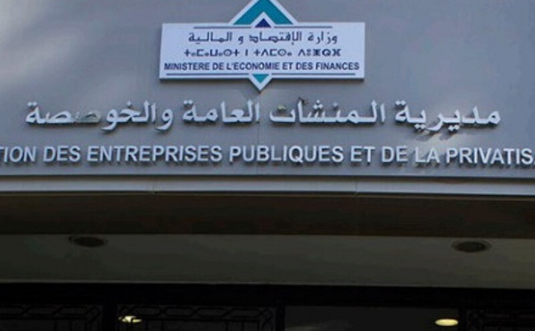 Le Défi de la Rentabilité des EEP sous le PLF 2025