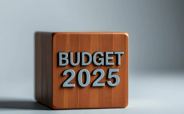 PLF 2025 : Entre ambitions sociales et réalités économiques