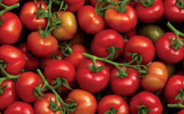 Tomates à prix d'or : la colère des consommateurs s'intensifie