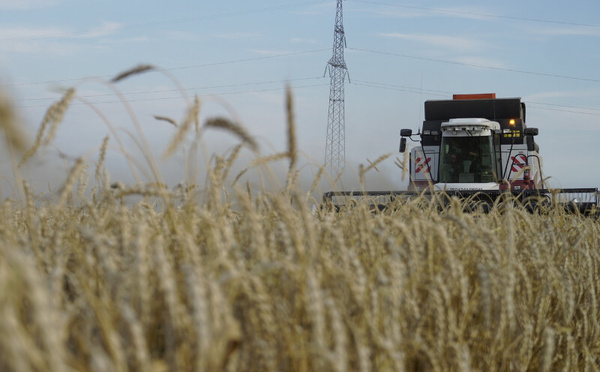Un million de tonnes de blé pour une alliance stratégique