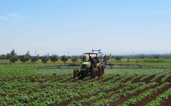 Investissement record dans l’agriculture marocaine