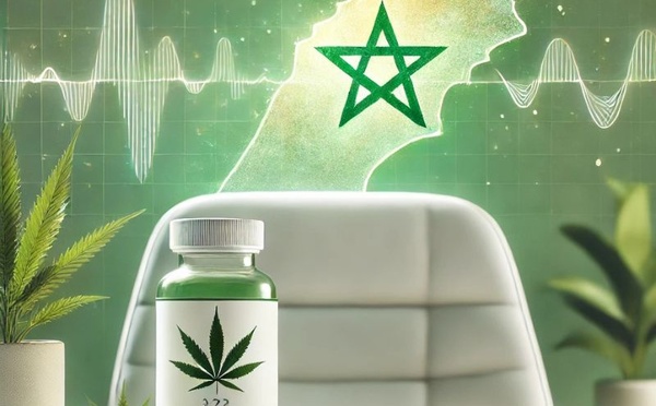 Documentaire : un futur médicament à base de cannabis thérapeutique marocain bouleversera les traitements contre l'Épilepsie 
