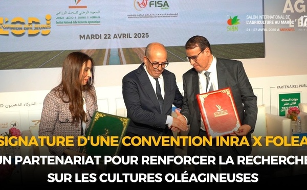 Convention INRA x FOLEA : Un partenariat pour renforcer la recherche sur les cultures oléagineuses