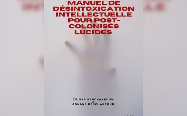 Livre : Manuel de désintoxication intellectuelle pour post-colonisés lucides