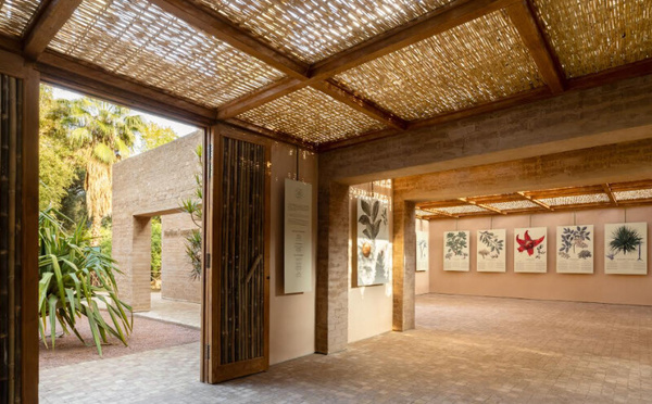 Le Pavillon Temporaire au Jardin Majorelle : l'exposition qui marie science et art