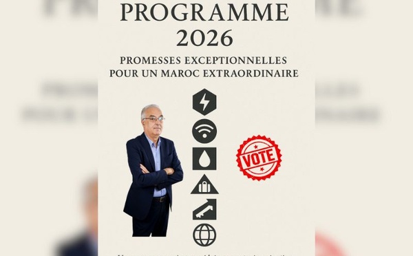 Parution du livre : En 2026, ne votez pas pour moi SVP !