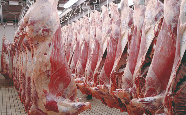 Aïd 2025 : flambée des prix de la viande malgré l’annulation du sacrifice