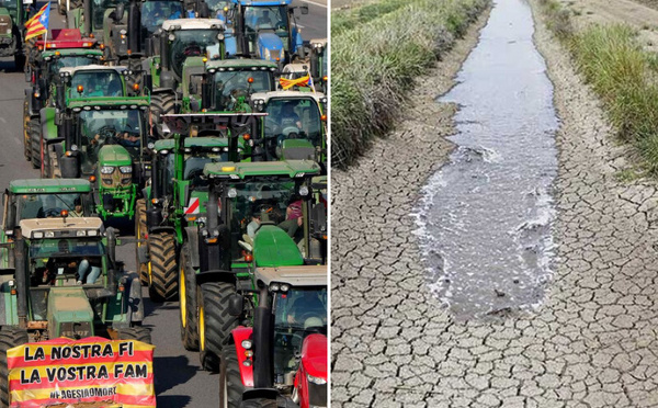 Exportations agricoles : entre succès commercial et inquiétudes hydriques