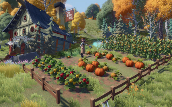 New Steam game Everdream Village: the 3D Stardew Valley