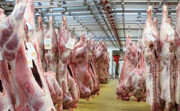 20.000 Tonnes de viande brésilienne : Le Maroc dit oui sans taxes