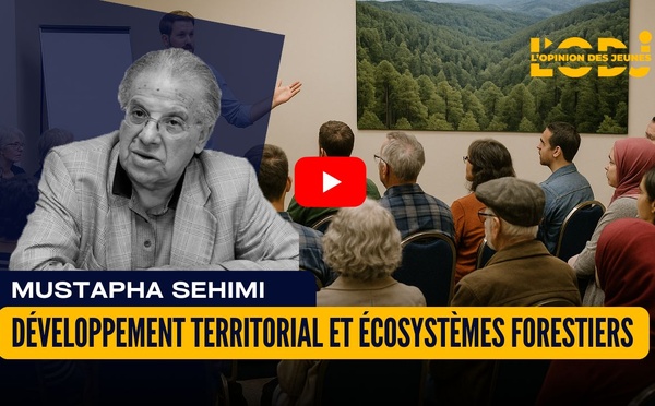 Développement territorial et écosystèmes forestiers
