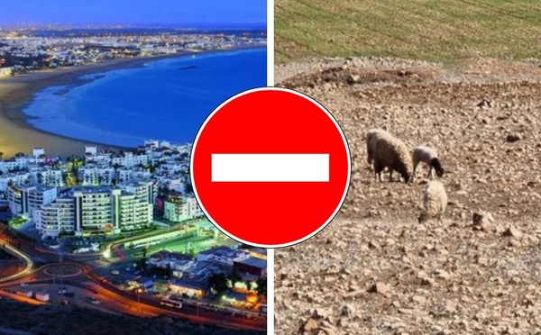 Voilà pourquoi SM le Roi ne veut pas d’un Maroc à deux vitesses