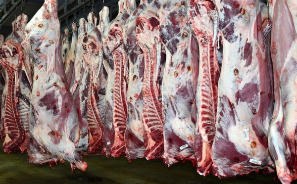 La viande rouge flambe à Casablanca : jusqu’à 115 DH/kg au marché de gros