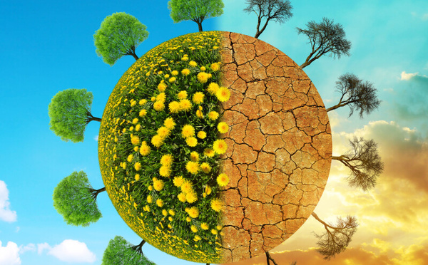 Adaptation climatique : l’appel de l’Afrique au monde