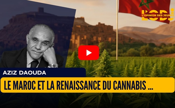 Le Maroc et la Renaissance du Cannabis : Histoire, Régulation et Enjeux Économiques Actuels