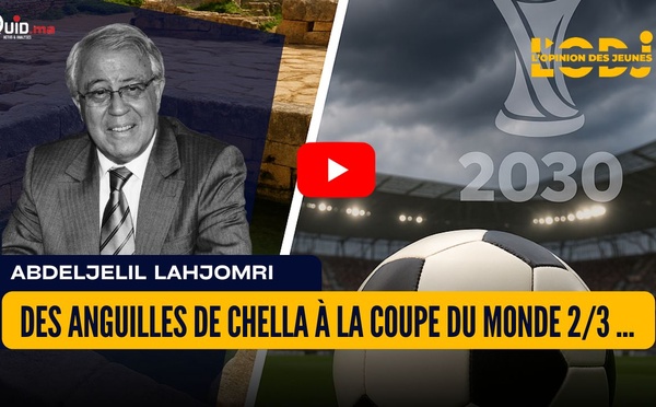 Des anguilles de Chella à la Coupe du Monde 2/3 : Un détail qui « fâche »