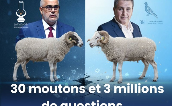 30 moutons et 3 millions de questions : la politique marocaine en clair-obscur