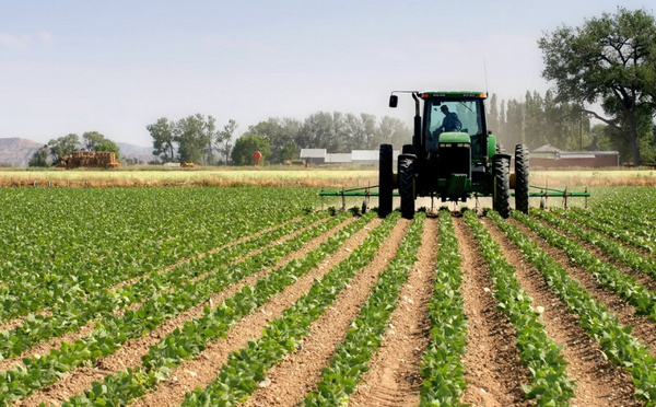 Agriculture et technologie : le Maroc mise gros en 2024