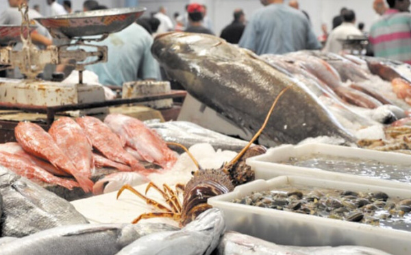 Inde 2026 : vitrine planétaire pour le poisson marocain