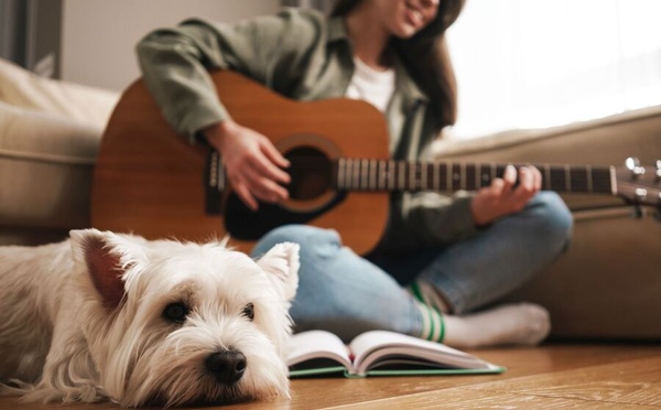 Pourquoi certains sons font-ils vibrer nos compagnons à quatre pattes ?