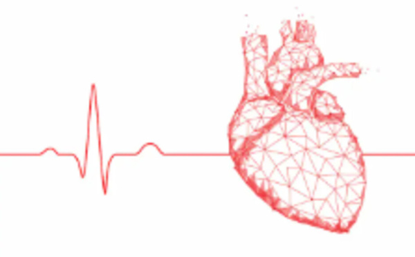Comment réguler sa fréquence cardiaque ?