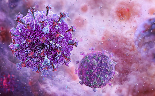 Virus Epstein-Barr : discret, répandu… et surprenant