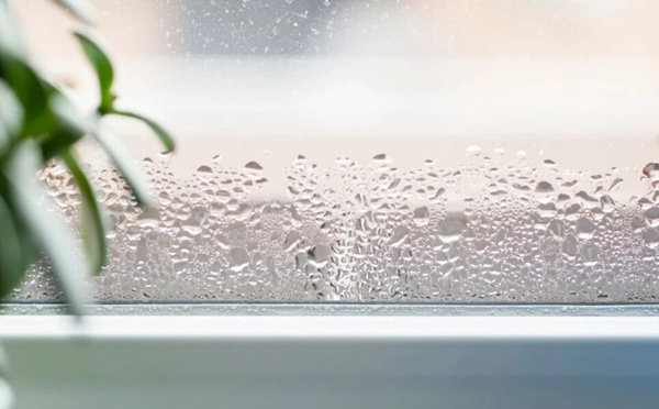 Humidité : quand vos murs prennent l’eau, voici comment riposter