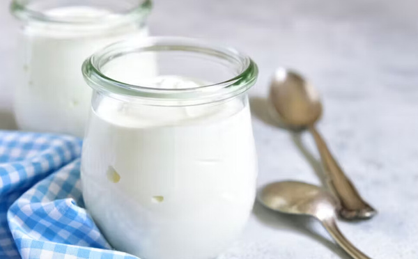 Yaourts fermentés : alliés de votre santé et astuces pour bien les choisir