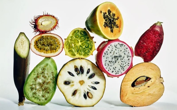 Fibermaxxing : la nouvelle obsession santé qui révolutionne notre assiette