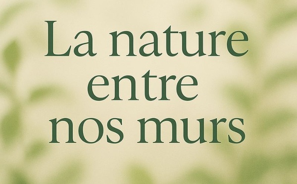 Les plantes qui dépolluent vraiment nos intérieurs